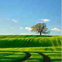 审﻿计‍过﻿程‌中​存‌在​的‍问‌题‌及​对‌策​